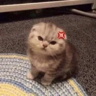 😡 emoji Умру на заводе Telegram sticker 12 of 39