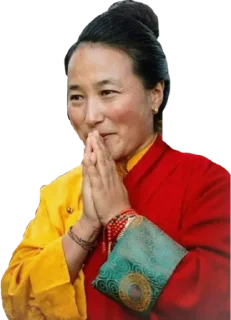 🙏 emoji Одобрено Буддами Telegram sticker 17 of 39