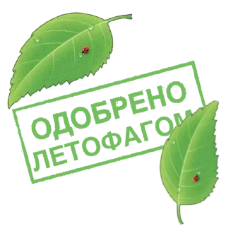 🍃 emoji Одобрено Telegram sticker 16 of 16