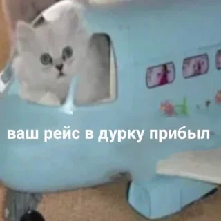 😇 emoji Булька барабулька Telegram sticker 8 of 38