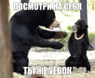 🌟 emoji чікіряу йоу Telegram sticker 18 of 91