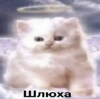 😅 emoji Хорни муд 👉 @pornostikerys 🔞 Telegram sticker 15 of 20