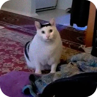 🐱 emoji Rizne : @fStikBot Telegram sticker 6 of 93