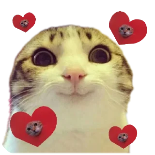 🐱 emoji Rizne : @fStikBot Telegram sticker 18 of 93