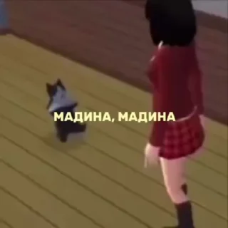 🌟 emoji база кавказа : @ddondovorot Telegram sticker 13 of 46