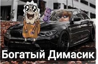 🌟 emoji Димочка Telegram sticker 2 of 39