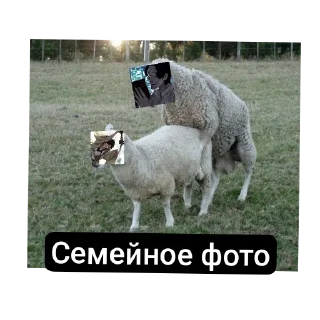Sticker from Никитка