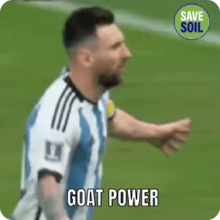 🌟 emoji Lionel Messi Telegram sticker 8 of 42