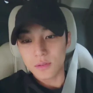 🚗 emoji mingyu @svtstick Telegram sticker 8 of 20