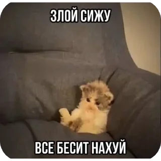 😡 emoji Pussy tastes delicious Telegram sticker 15 of 54