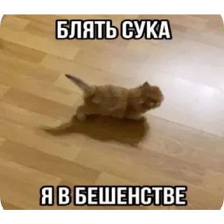 🤬 emoji Pussy tastes delicious Telegram sticker 16 of 54