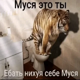 🌟 emoji умри пж Telegram sticker 13 of 81