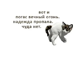 🍦 emoji фарфорыши Telegram sticker 9 of 29