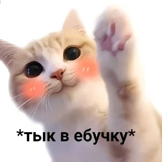 🌟 emoji Никитосик Негритосик Telegram sticker 17 of 17