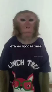 🌟 emoji Бибизяны гиф Telegram sticker 12 of 37