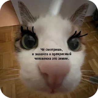 😍 emoji Нормальные мы. Telegram sticker 11 of 38