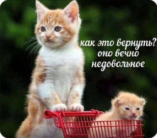 🌟 emoji мемостики Telegram sticker 20 of 120