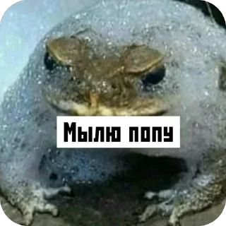 🫥 emoji Я Олег, и я этим горжусь ту(2) Telegram sticker 16 of 91