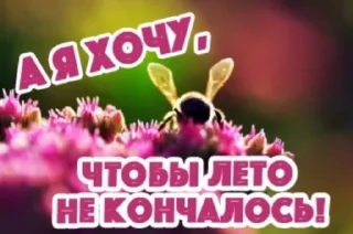 ☀️ emoji открыточки из одноклассников😍 Telegram sticker 16 of 45