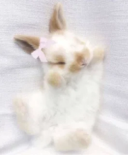 🐇 emoji GentleDollGirl Telegram sticker 13 of 105