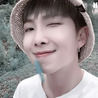 😼 emoji #namjoon meme «😼 by @lumicore_present Telegram sticker 7 of 37