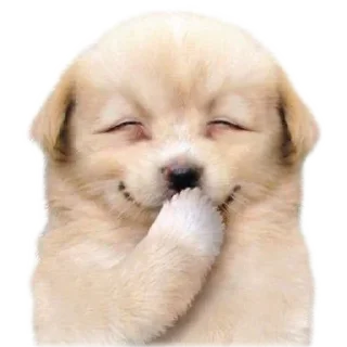 Sticker from Gaejook