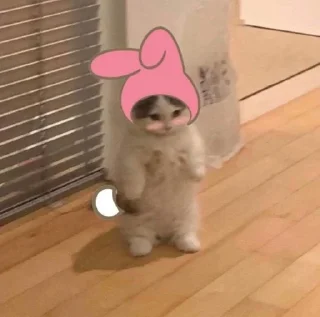 🤍 emoji котятки Telegram sticker 13 of 14