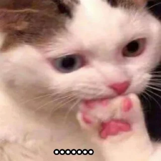 😬 emoji Стикер пак #2 @akv_5 Telegram sticker 16 of 35