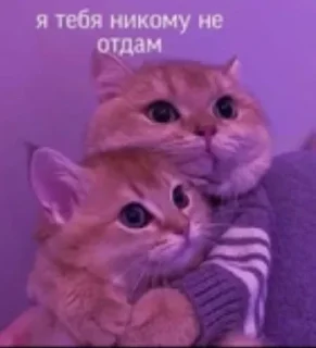 😶 emoji Главный пак Telegram sticker 23 of 40