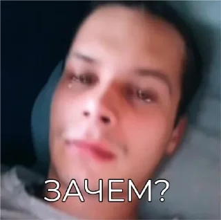 😭 emoji Чиза Telegram sticker 15 of 47