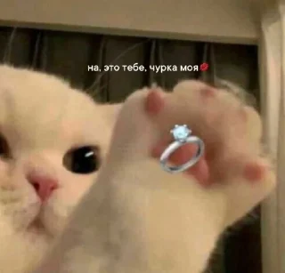 💘 emoji смехуек Telegram sticker 24 of 68