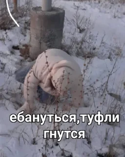 😳 emoji смехуек Telegram sticker 12 of 68