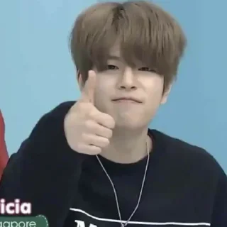 👍 emoji сынмин Telegram sticker 15 of 22