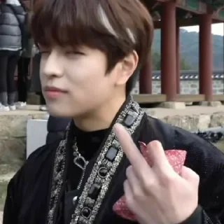 🖕 emoji сынмин Telegram sticker 20 of 22
