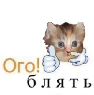 Sticker from Что