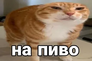 🌟 emoji Збірна солянка (V-11.0) Telegram sticker 12 of 120