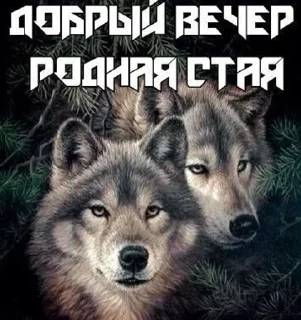 🌟 emoji не ломай малину, а? Telegram sticker 14 of 32