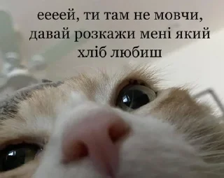 🌟 emoji Український пачок від @Pwpsslsl Telegram sticker 24 of 94