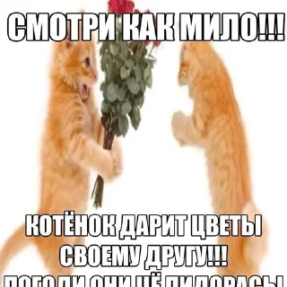 🌟 emoji Крутовская крутецкая круть Telegram sticker 1 of 120