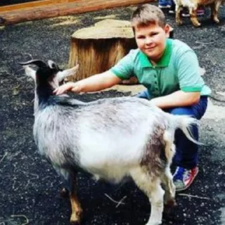🐐 emoji саша го встр? Telegram sticker 22 of 43