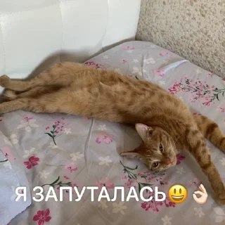 🌟 emoji Ириска Telegram sticker 7 of 24