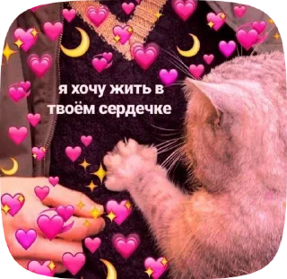 Sticker from сашик люблю тебя
