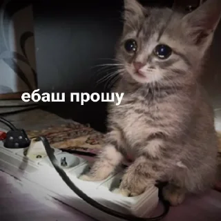 🥲 emoji Граф Telegram sticker 24 of 103