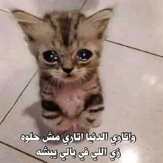 😢 emoji пак от афы/ли Telegram sticker 11 of 66