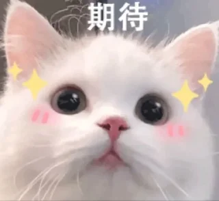 🌷 emoji 为迪娜和基玛 || @dimiyuu × @ruleeet Telegram sticker 10 of 44