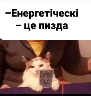 Sticker from Файні скатеняки
