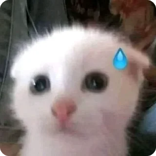 😥 emoji Łączenie niepołączonych :: tos Telegram sticker 21 of 46
