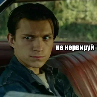 🌲 emoji сАлАм вСеМ крАсОткАм Telegram sticker 19 of 35