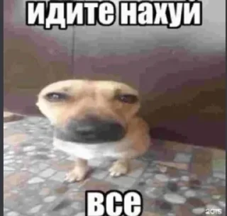 🤨 emoji аркадий ожегин pack Telegram sticker 11 of 49