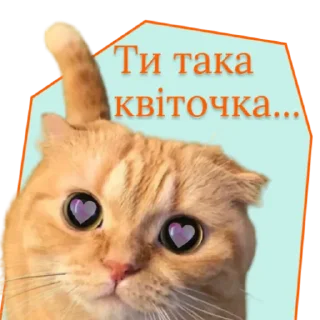 Sticker from ♡Примарні котики♡